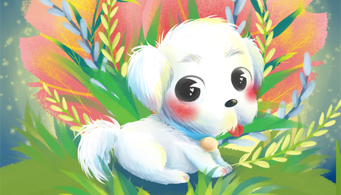 1970生肖狗五行属什么 1970年属狗的五行属性是什么