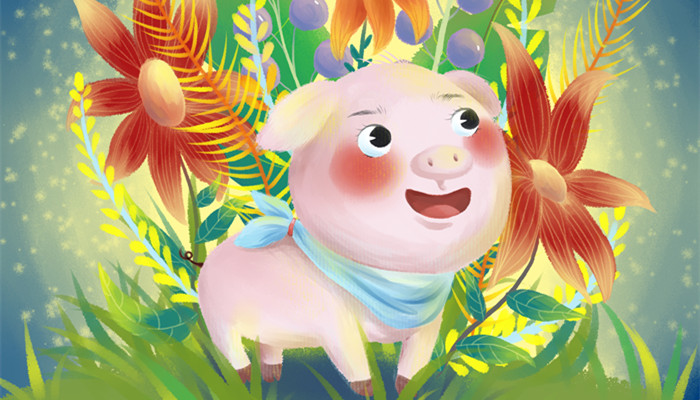 属猪的人一生的命运 属猪人一生命运怎么样