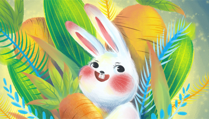 爸爸属猴妈妈属兔孩子属什么好 属猪的跟什么属相合得来