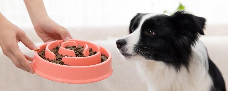 狗粮9.jpg 狗粮9.jpg