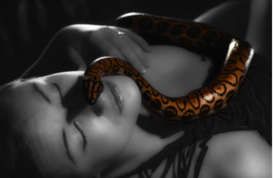 女人晚上梦见蛇好不好 女人晚上梦见蛇是什么征兆