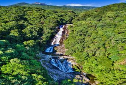 [龙岩景点]梁野山国家级自然保护区
