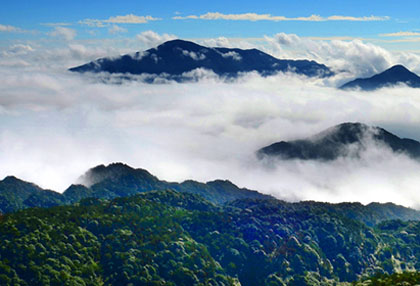 [泉州景点]戴云山国家自然保护区