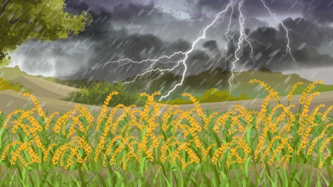 雷雨天气主要发生在什么季节 雷雨天安全指南