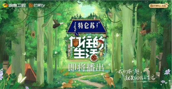 特仑苏：金牌牛奶二十年 “草牧奶”全链塑造有机新矩阵