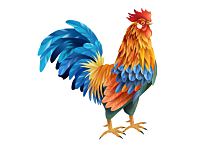 梦到金鸡变凤凰预兆着什么 梦见金鸡变凤凰是什么征兆