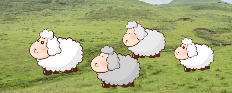 属羊的本命佛是什么 属羊的本命佛是哪尊佛