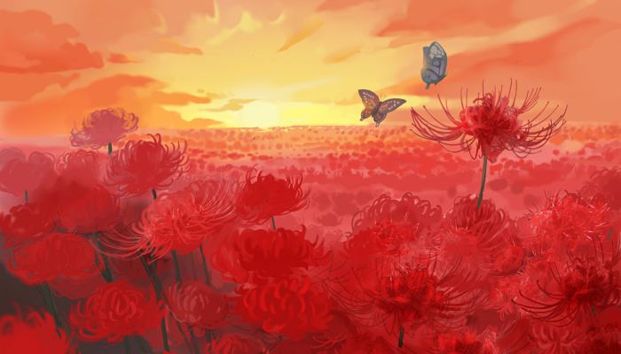 几月份的龙宝宝最好命 龙宝宝出生在什么时辰命最好