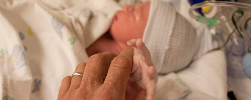 虎年各月出生人的命运 属虎的人一生命运如何