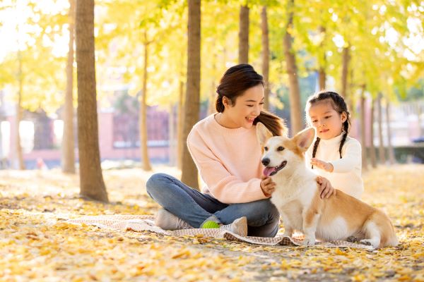 属狗的人绝情吗 属狗男想分手的表现