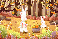 兔和龙相配吗 属兔和属龙相配吗