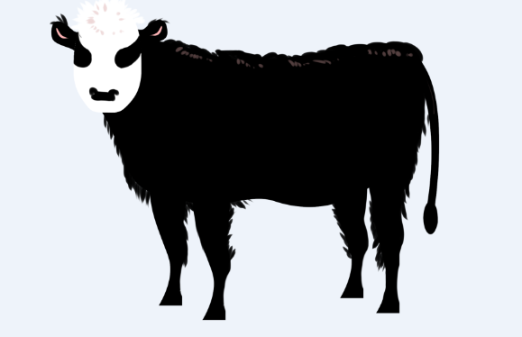 2020年属牛人每月运势 属牛的每月运势详解
