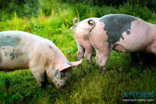 ФһФ_ﻢʲôФ?_ֵФ?