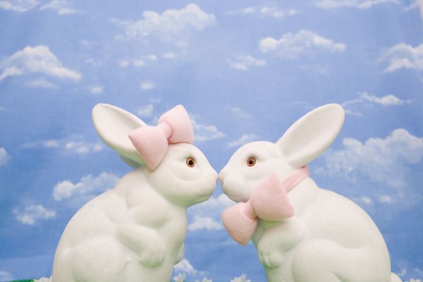 75年兔的后半婚姻 1975属兔一生有二婚吗