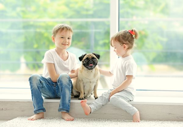 属狗的今年多大虚岁 2021年属狗的年龄是多少