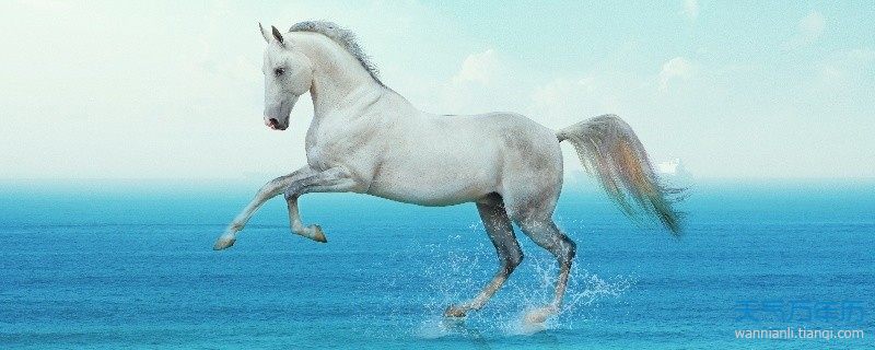 9月属马的人命好吗 属马九月份出生的命运怎么样