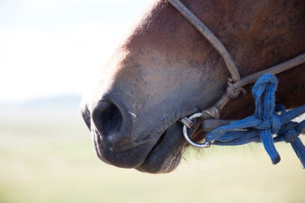 非主流搞笑网名 史上最逗比的非主流网名