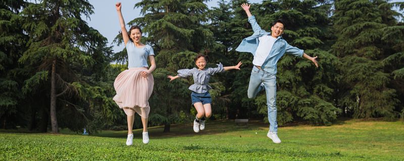 木字旁字最有涵养的字 木字旁字最有涵养的字取名