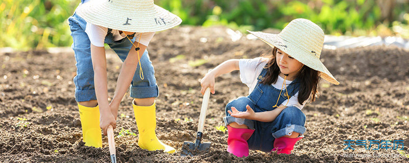 年姓宝宝起名字大全 年姓宝宝好听的名字