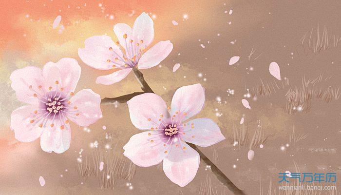 新穎又正式的獎(jiǎng)項(xiàng)名字 富有詩意的獎(jiǎng)項(xiàng)名稱