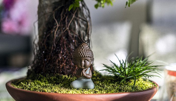 100个禅意名字 比较有禅意的名字