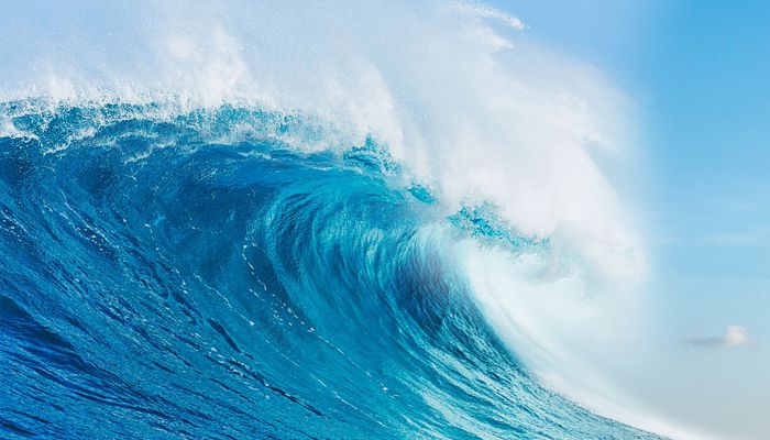 2022年世界海啸日是几月几日 2022年世界海啸日是哪一天