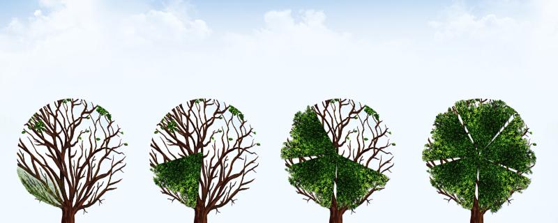 最有诗意的网名 浪漫有诗意的网名大全