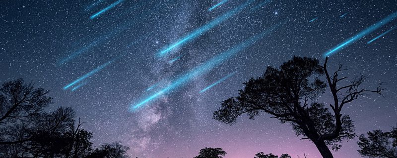 心静淡然的名字 取个心态好的昵称