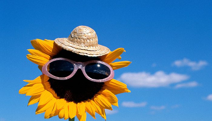 简洁二字昵称2022 两个字网名2022年