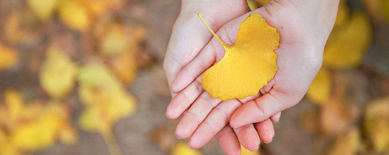 女人高雅温柔抖音名字 成熟气质淡雅抖音名女