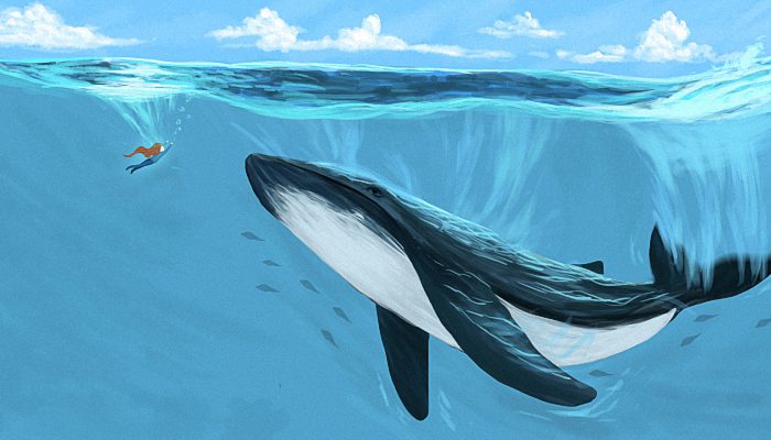 男人最沉稳的昵称 男网名成熟简洁霸气