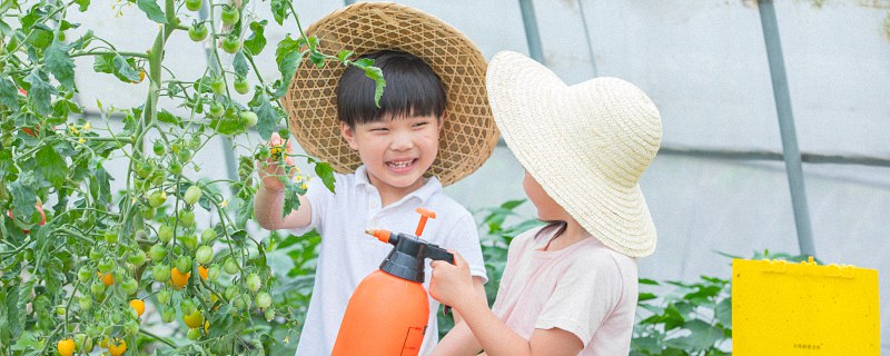 带恺字的古诗词起名 有内涵的带恺字的宝宝名字