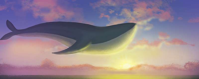 40-50男人抖音名字 抖音吸引人的男名字40至50岁