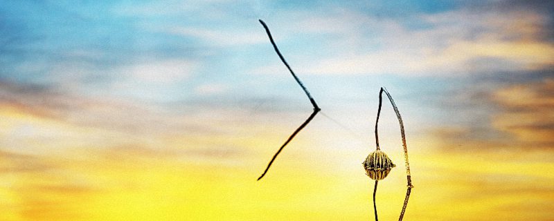 极简有深意名字 极简风格好听名字