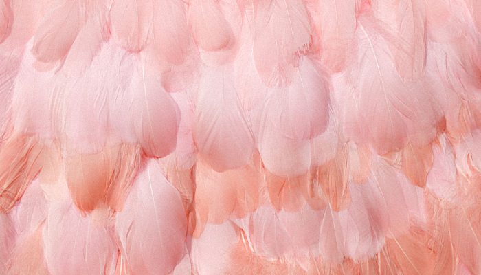 简单有内涵的抖音昵称 有内涵温柔有气质简单大气的昵称