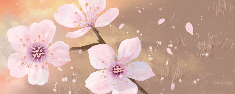 网名女生唯美小清新 比较阳光的网名女