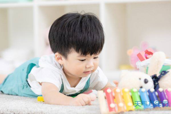 五行屬木的字1000個 五行缺木寓意好的字