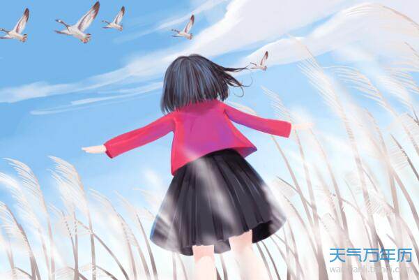 屬兔的人最旺運(yùn)招財(cái)名字 屬兔人取什么名字能夠一生好運(yùn)