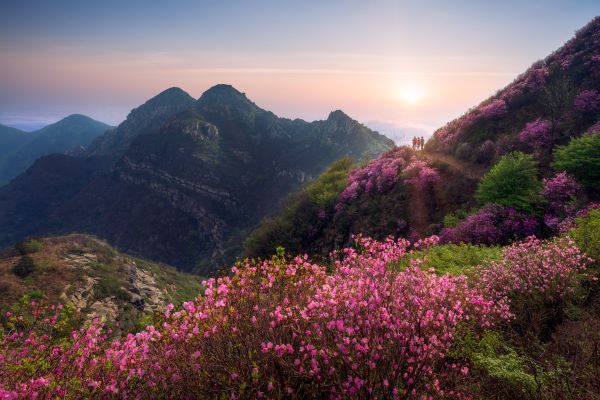 独特简单的网名 好听简洁的网名大全