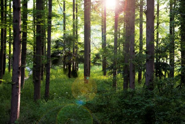 独特简单的网名 好听简洁的网名大全