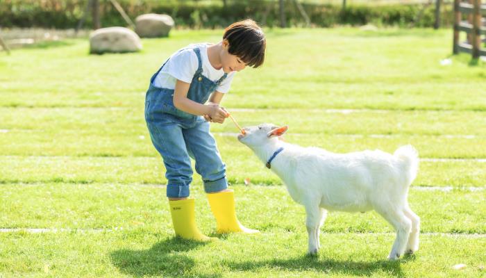 岑姓男孩名字大全 岑姓男孩取名洋气