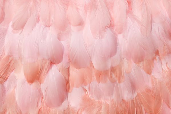 少女心爆棚的网名 好听少女心甜美的昵称