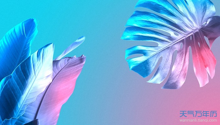 又污又优雅的游戏名字 污一点有内涵的游戏id