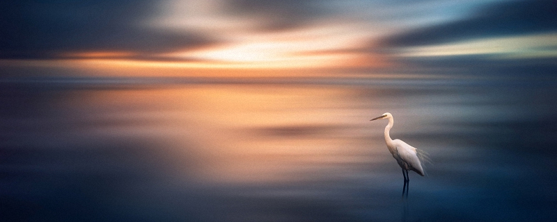 抖音昵称女霸气高冷 女生抖音网名霸气好听