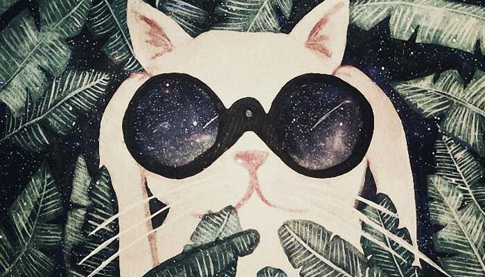 抖音好记能火的名字 适合长期不换的抖音昵称