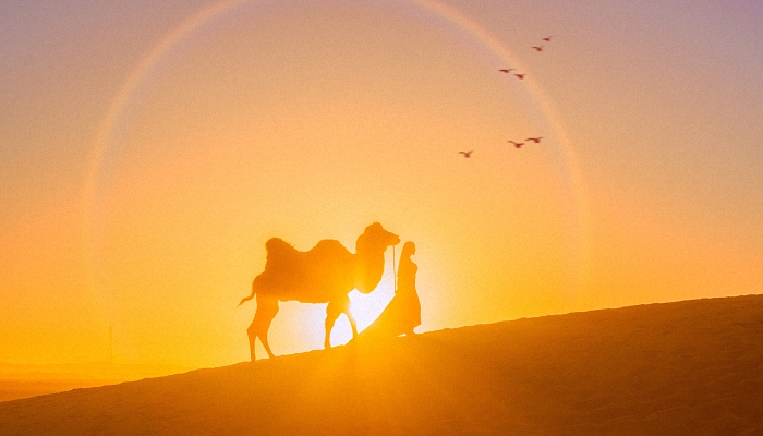 抖音网名男霸气两个字 霸气抖音网名两个字男生