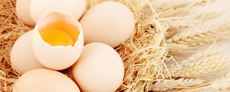 梦见别人捡鸡蛋预示什么 梦见别人捡鸡蛋有什么征兆