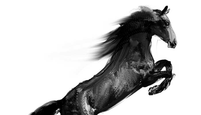 梦见骑大黑马什么意思 梦见骑大黑马什么征兆