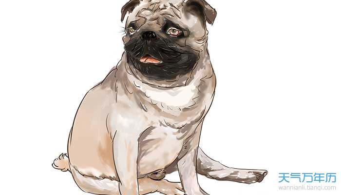 梦见牛头犬什么意思梦见牛头犬什么征兆 万年历