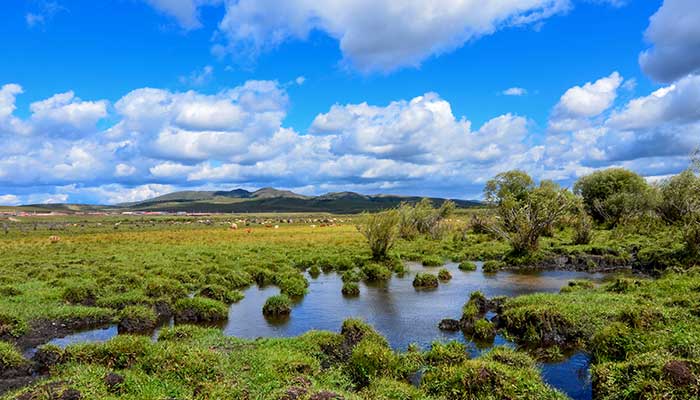 梦见一滩死水什么意思 梦见一滩死水好不好